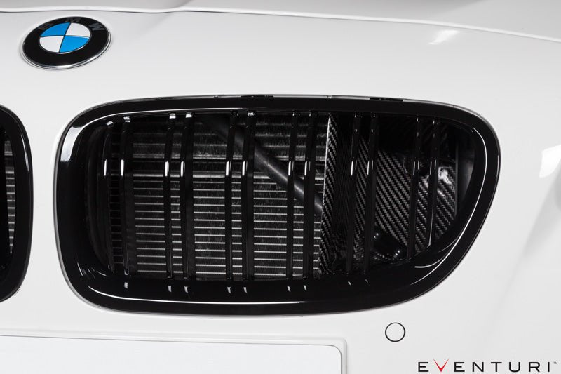 Eventuri Carbon Fibre Intake System - BMW F10 M5