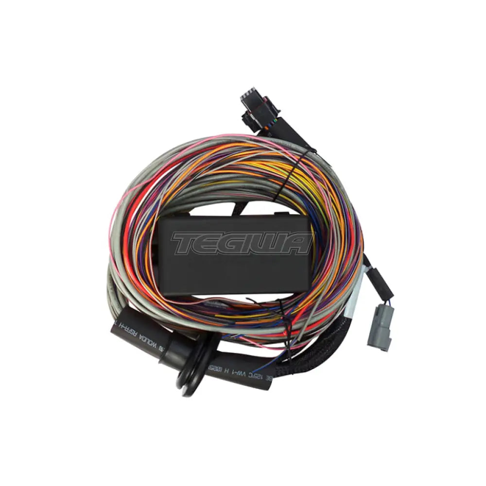 Haltech Elite 550 Premium Universal Wire-in Harness