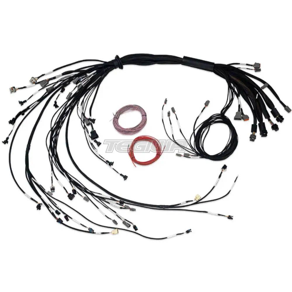 Haltech Nexus R5 LSx Non DBW Terminated Harness