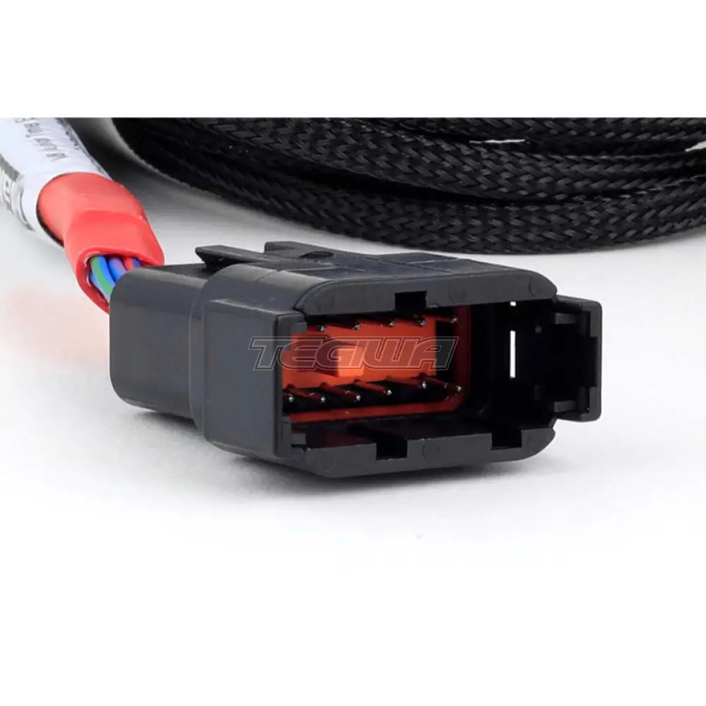 Haltech Nexus Universal V8 - Junior Timer (EV1) Injector Secondary Breakout