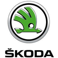 SKODA - Motorsport Calibrations