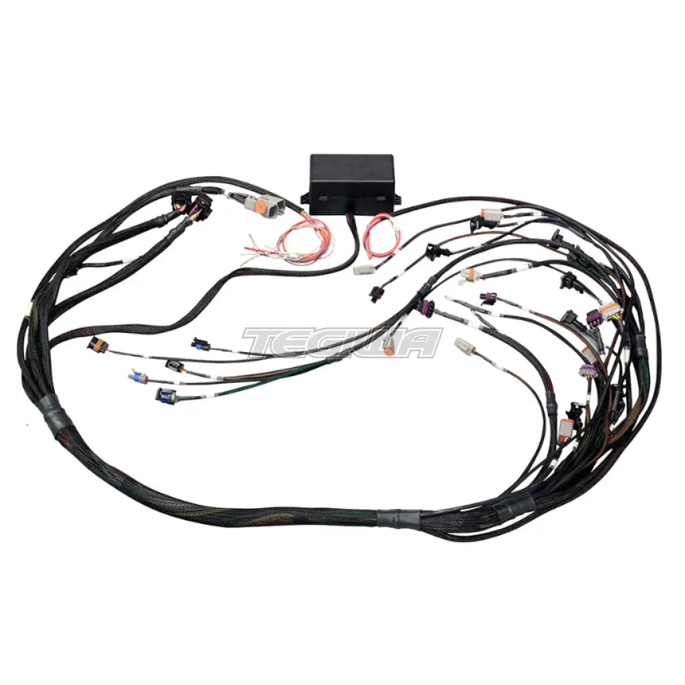 Haltech Elite 2000/2500 GM GEN IV LS2 Non DBW Terminal Harness EV1