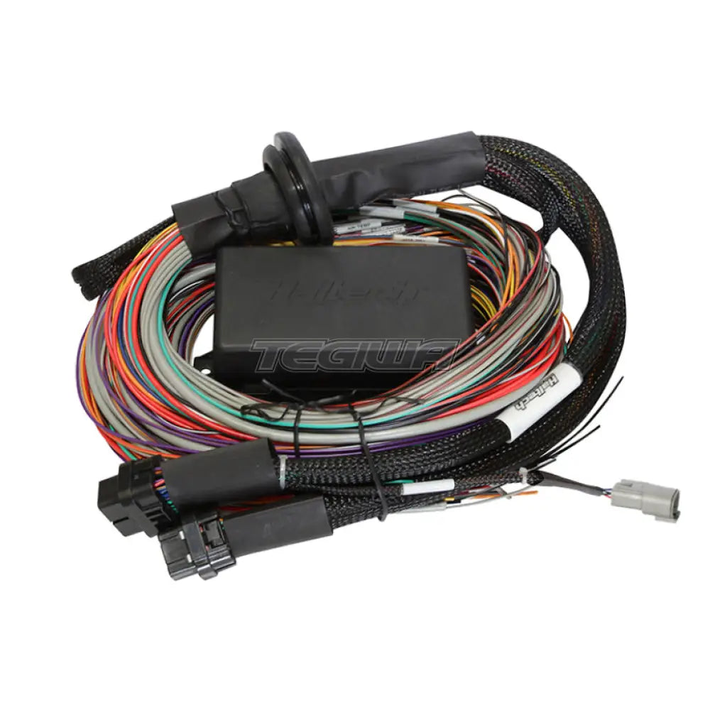 Haltech Elite 2500 - 2.5m (8ft) Premium Uni Wire-in Harness