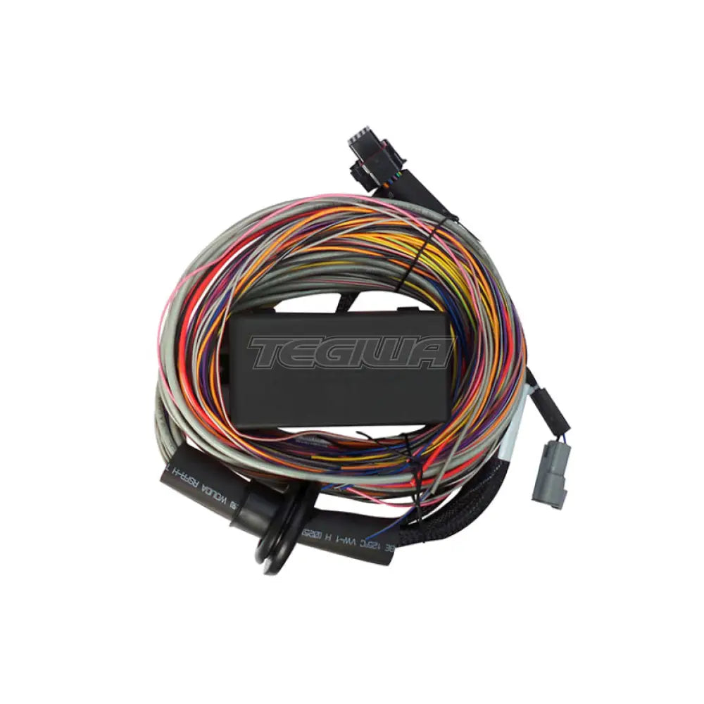 Haltech Elite 750 Premium Universal Wire-in Harness 2.5m (8')