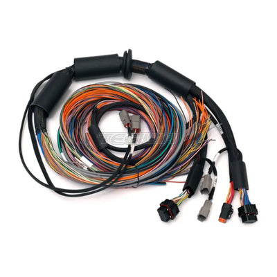 Haltech Nexus R3 Universal Wire-in Harness - 2.5m (8')