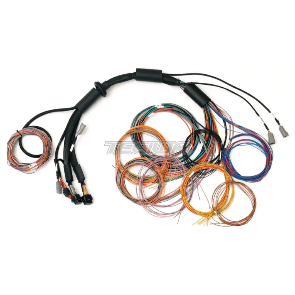 Haltech Nexus R3 Universal Wire-in Harness - 2.5m (8')