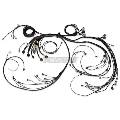 Haltech Nexus R5 LSx Non DBW Terminated Harness