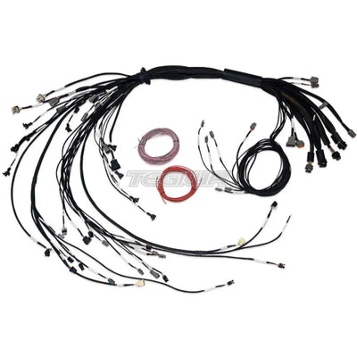 Haltech Nexus R5 LSx Non DBW Terminated Harness