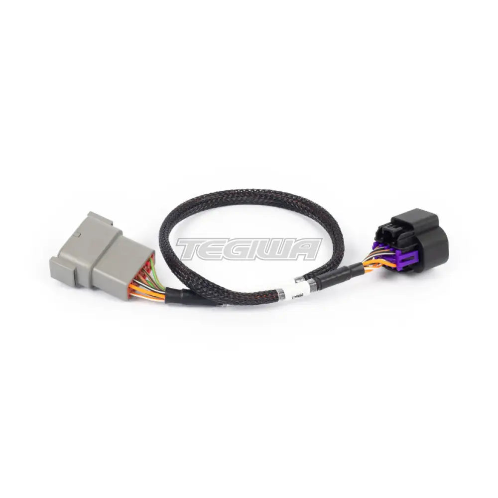 Haltech Nexus Rebel LS - 8-pin DBW adaptor
