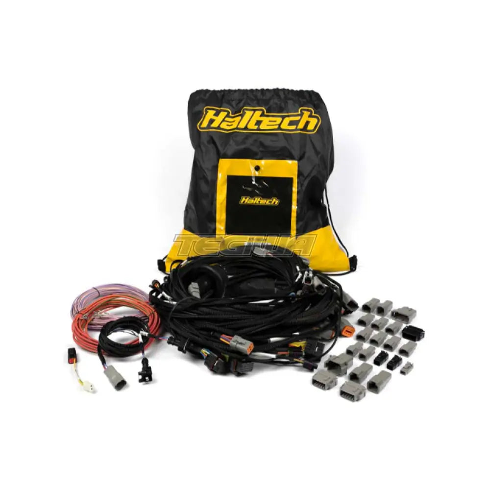 Haltech Universal V8 Terminated Engine Harness for Nexus R5 VCU
